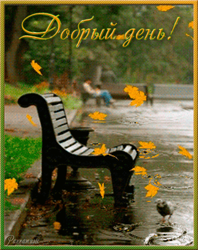 Добрый день! (скамейка, падающие листья и дождь)