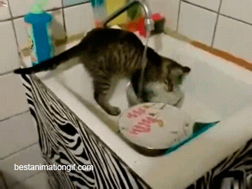 У вас грязная посуда?
