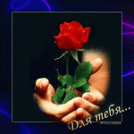 Роза для тебя..