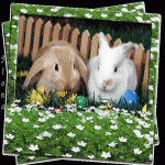 С праздником Светлой Пасхи! (кролики)