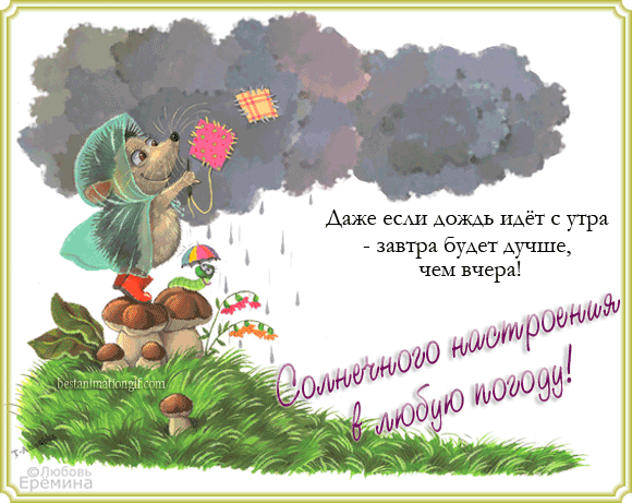 1210-Abissinka-adm-podj-0021.gif