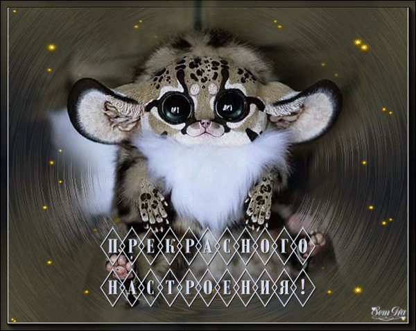 4782-darling27-precrasnogo-nastroeniya01