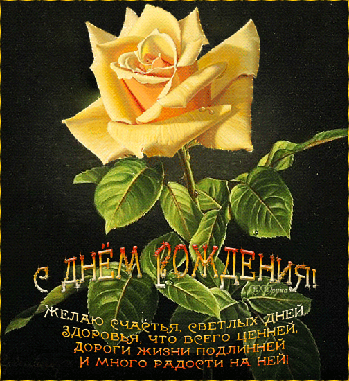 9905-Kantemirova Irina-0114-D-R-KI.gif