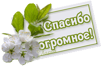 Акция от Asteri  6 апреля "Один вопрос-один ответ" - Страница 2 5867-l.kondratyeva_17-08