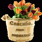 1681-l.kondratyeva_17-07.gif