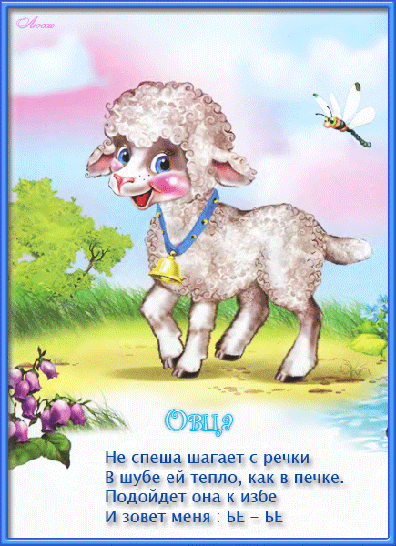 Овца ( не спеша шагает с речки..)