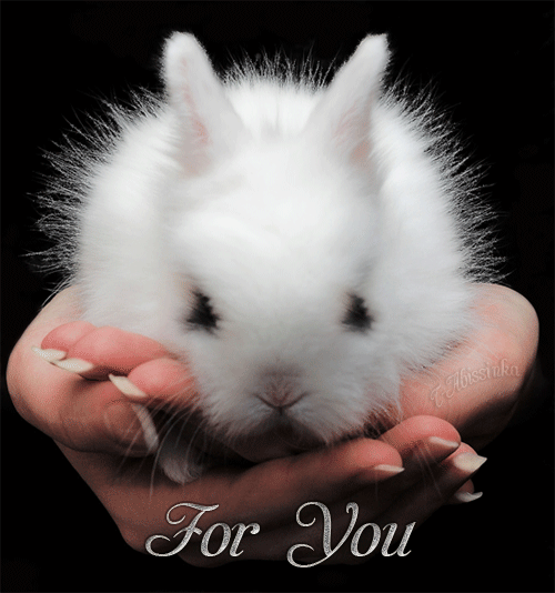 For You - белый зайчонок на ладошках