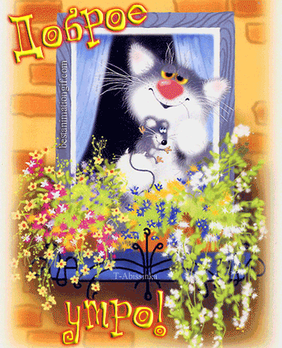 Доброе утро! (кот, мышонок, окно и цветы)