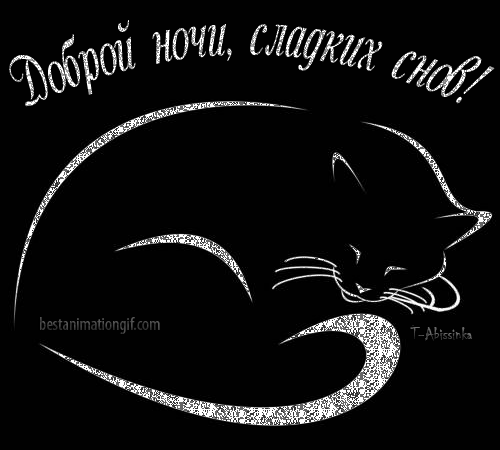 Пин от пользователя Сергей на доске открытки | Любители кошек, Морды животных, Субботы