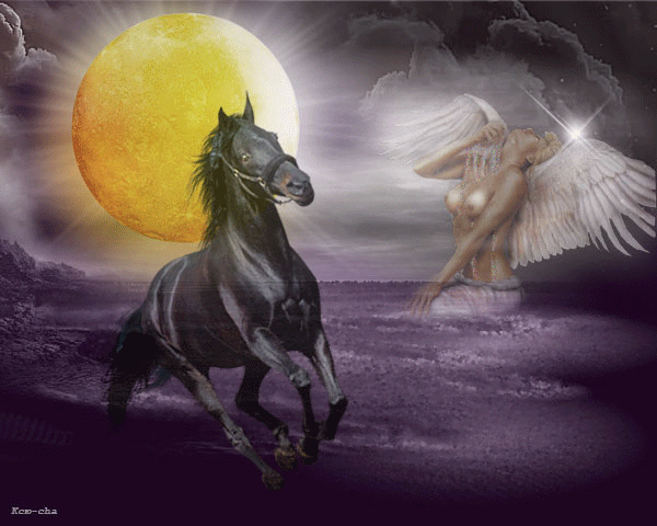 Черный конь и ангел