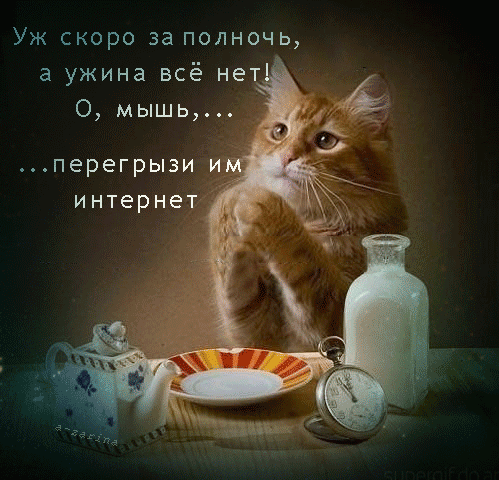 Молитва голодного кота