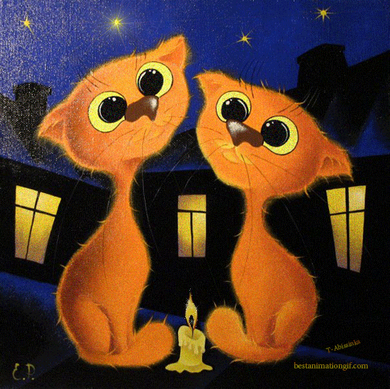 Две рыжие кошки у горящей свечи