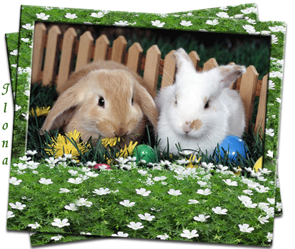 С праздником Светлой Пасхи! (кролики)