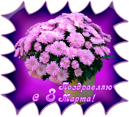 Благодарю за поздравление с 8. Хризантемы с пожеланиями. Открытки с днем рождения хризантемы.