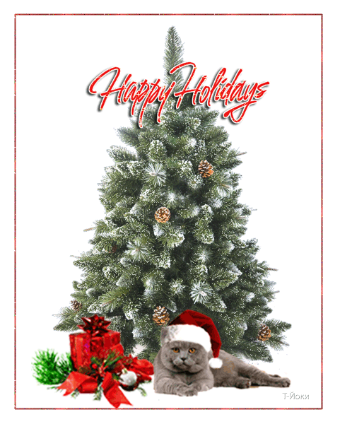 Happy Holidays! (кот с подарками под елкой)
