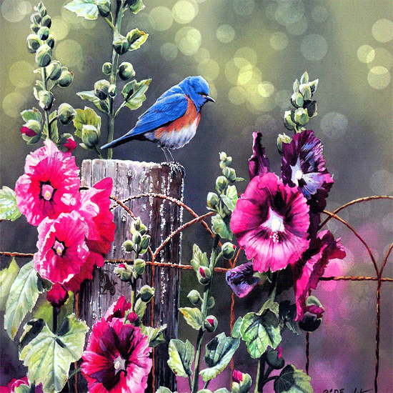 Цветы и птицы. Лето цветы птицы. Красивые птицы на цветах. Живые птицы.