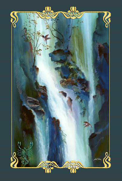 Колибри и водопад