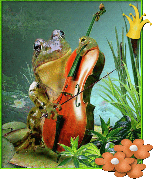Лягушка и виолончель