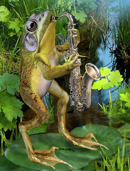 Лягушонок и саксофон