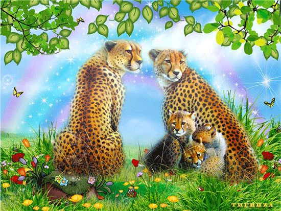 Леопарды с детенышами