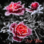 Для тебя!  For You! (розы под снегом)