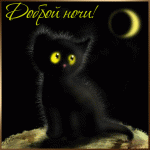 Доброй ночи! (черный котенок и луна)