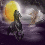 Черный конь и ангел