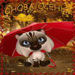 Снова  Осень..Котик под зонтом.